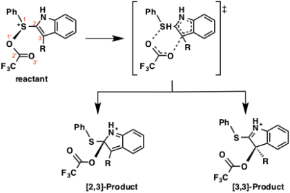 プメラー型転移の反応機構は実はもっと複雑？【Pummerer Type Rearrangement】 | 計算化学ポータルサイト | 計算化学.com